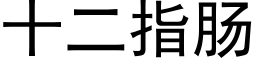 十二指肠 (黑体矢量字库)