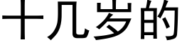 十幾歲的 (黑體矢量字庫)