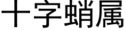 十字蛸属 (黑体矢量字库)