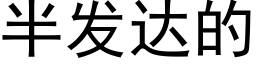 半发达的 (黑体矢量字库)