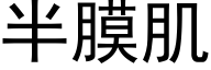 半膜肌 (黑体矢量字库)