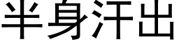 半身汗出 (黑体矢量字库)