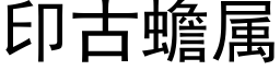 印古蟾属 (黑体矢量字库)