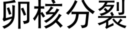 卵核分裂 (黑体矢量字库)