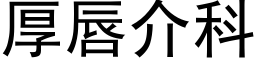 厚唇介科 (黑體矢量字庫)