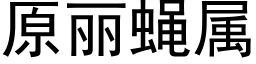 原丽蝇属 (黑体矢量字库)