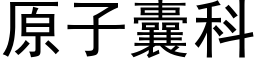 原子囊科 (黑體矢量字庫)