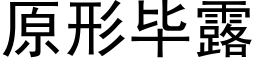 原形畢露 (黑體矢量字庫)