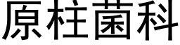 原柱菌科 (黑體矢量字庫)