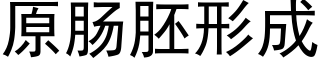 原肠胚形成 (黑体矢量字库)