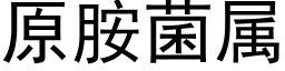 原胺菌属 (黑体矢量字库)