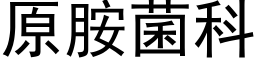 原胺菌科 (黑体矢量字库)