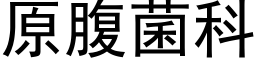 原腹菌科 (黑體矢量字庫)