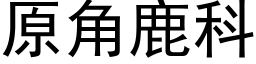 原角鹿科 (黑体矢量字库)