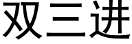 双三进 (黑体矢量字库)