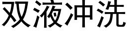 雙液沖洗 (黑體矢量字庫)