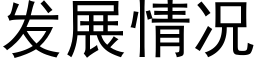 發展情況 (黑體矢量字庫)