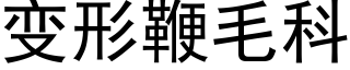 變形鞭毛科 (黑體矢量字庫)
