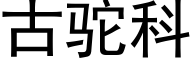 古駝科 (黑體矢量字庫)