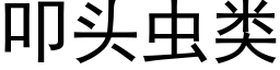 叩头虫类 (黑体矢量字库)