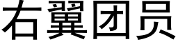 右翼团员 (黑体矢量字库)