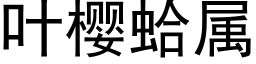 叶樱蛤属 (黑体矢量字库)