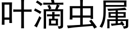 葉滴蟲屬 (黑體矢量字庫)