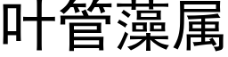 叶管藻属 (黑体矢量字库)