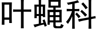 叶蝇科 (黑体矢量字库)