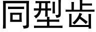 同型齒 (黑體矢量字庫)