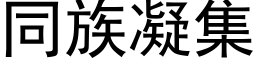 同族凝集 (黑體矢量字庫)