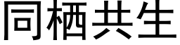 同栖共生 (黑体矢量字库)