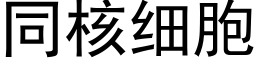 同核细胞 (黑体矢量字库)