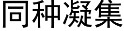 同種凝集 (黑體矢量字庫)