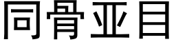 同骨亞目 (黑體矢量字庫)