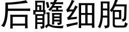 后髓细胞 (黑体矢量字库)