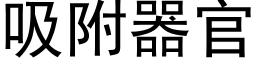 吸附器官 (黑體矢量字庫)
