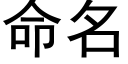 命名 (黑體矢量字庫)