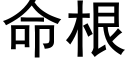 命根 (黑体矢量字库)