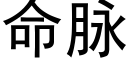 命脈 (黑體矢量字庫)