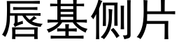 唇基側片 (黑體矢量字庫)