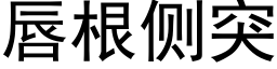 唇根側突 (黑體矢量字庫)