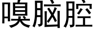 嗅脑腔 (黑体矢量字库)