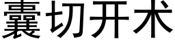 囊切开术 (黑体矢量字库)