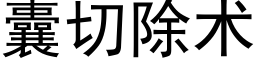 囊切除术 (黑体矢量字库)