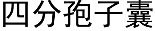 四分孢子囊 (黑體矢量字庫)