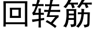 回转筋 (黑体矢量字库)