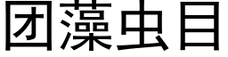 团藻虫目 (黑体矢量字库)