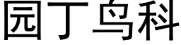 園丁鳥科 (黑體矢量字庫)