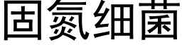 固氮细菌 (黑体矢量字库)